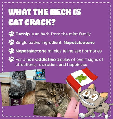Hierba gatera Cat Crack, mezcla de hierba gatera