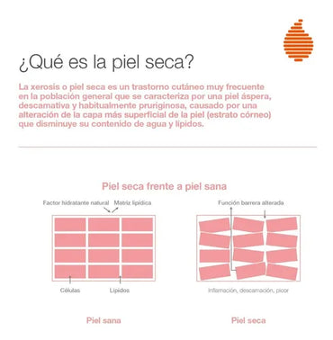 Bio Oil Gel Piel Seca Hidrata Nutre Protege Y Repara 100ml - La Tiendita de la Jose