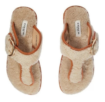 Sandalias Pantuflas Coach Hollie Shearling Marrón Natural - La Tiendita de la Jose