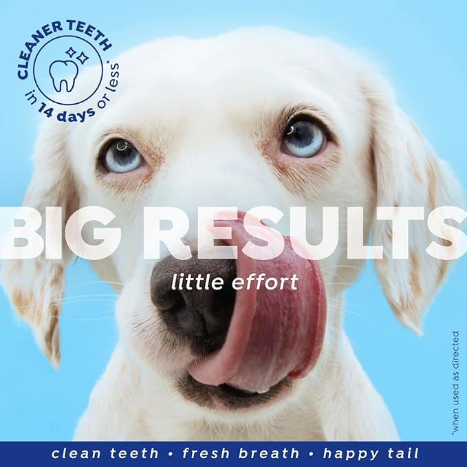 Naturél Promise Fresh - Ambientador dental y aditivo de agua de limpieza dental para perros