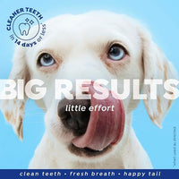 Naturél Promise Fresh - Ambientador dental y aditivo de agua de limpieza dental para perros