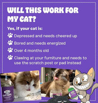 Hierba gatera Cat Crack, mezcla de hierba gatera