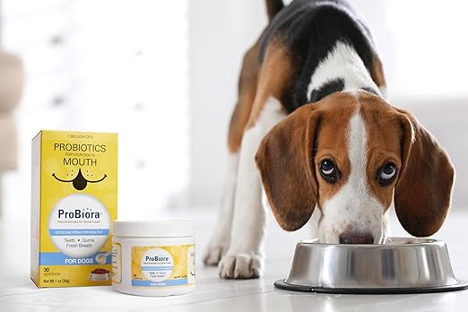 Suplemento probiótico para perros para el cuidado bucal - La Tiendita de la Jose